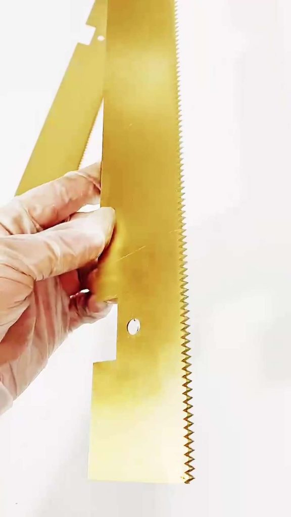 WhatsApp Image 2025 01 09 at 9.58.35 AM 1 576x1024